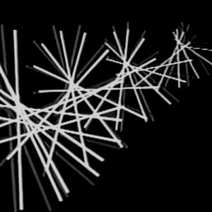 Meet your Posher, Laine